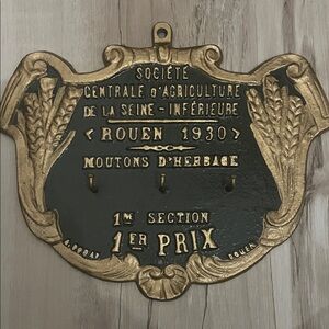 Elegant Gold and Black Wall Hook Plaque